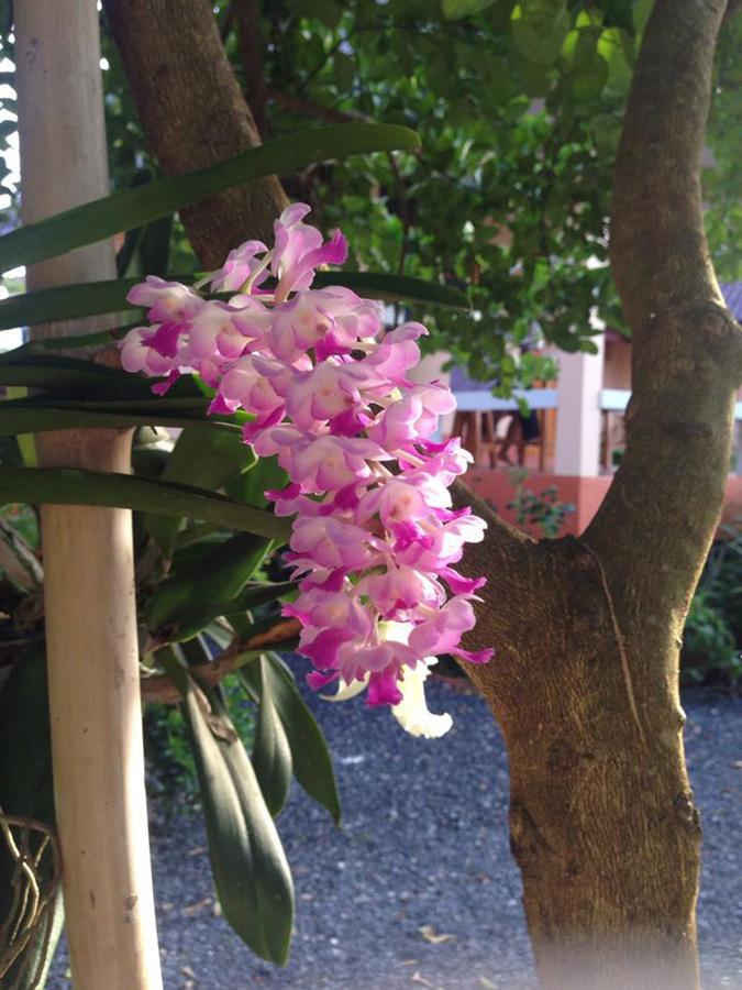 Chuanchom Resort Phatthalung Exteriör bild